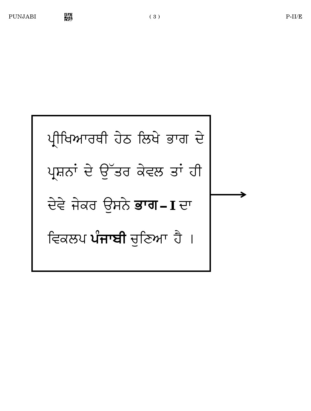 CTET August 2023 Punjabi Language Supplement Paper II Part IV and V 3