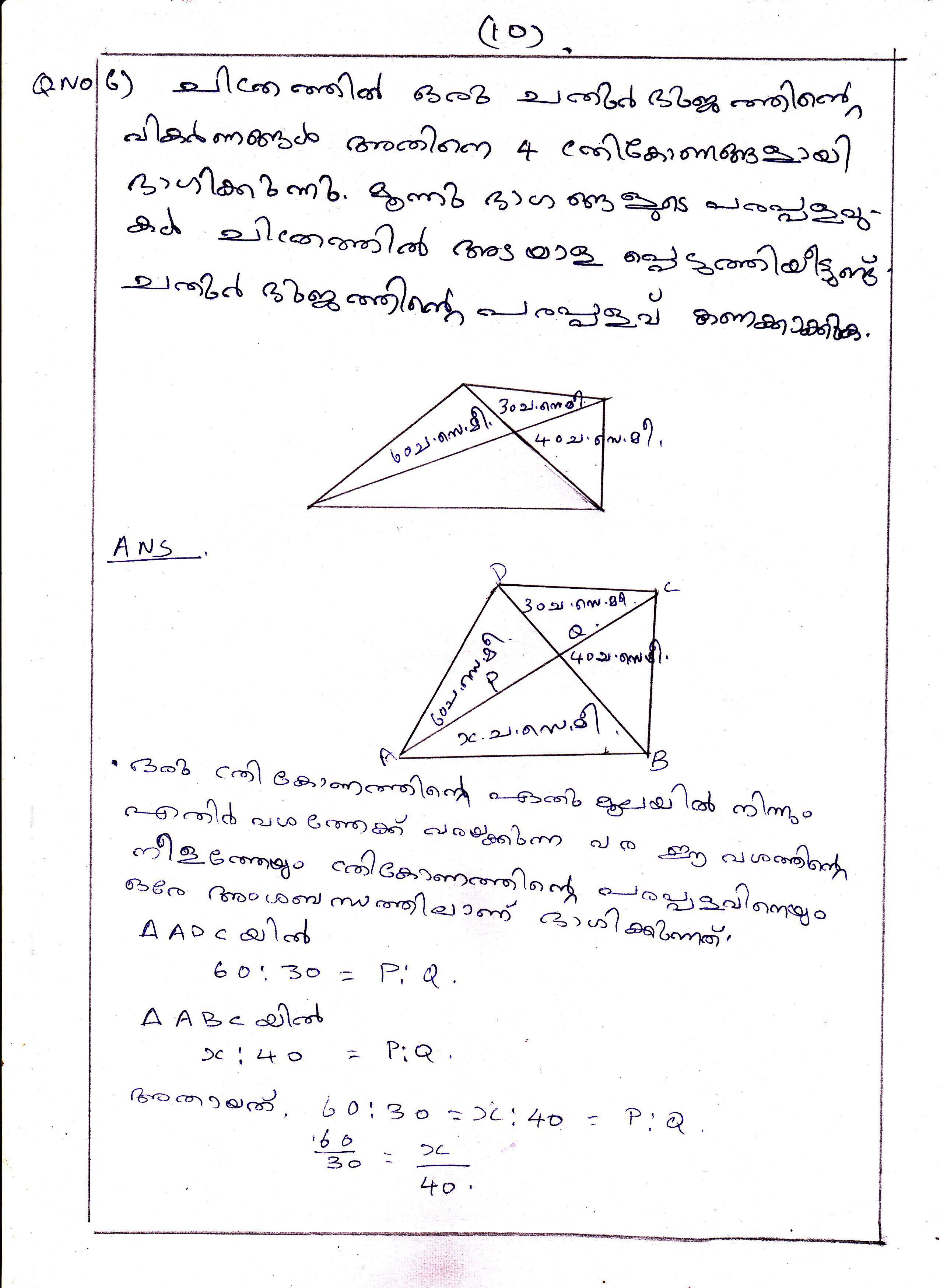 Triangle Division Problems of Area Chapter Class IX Mathematics 10