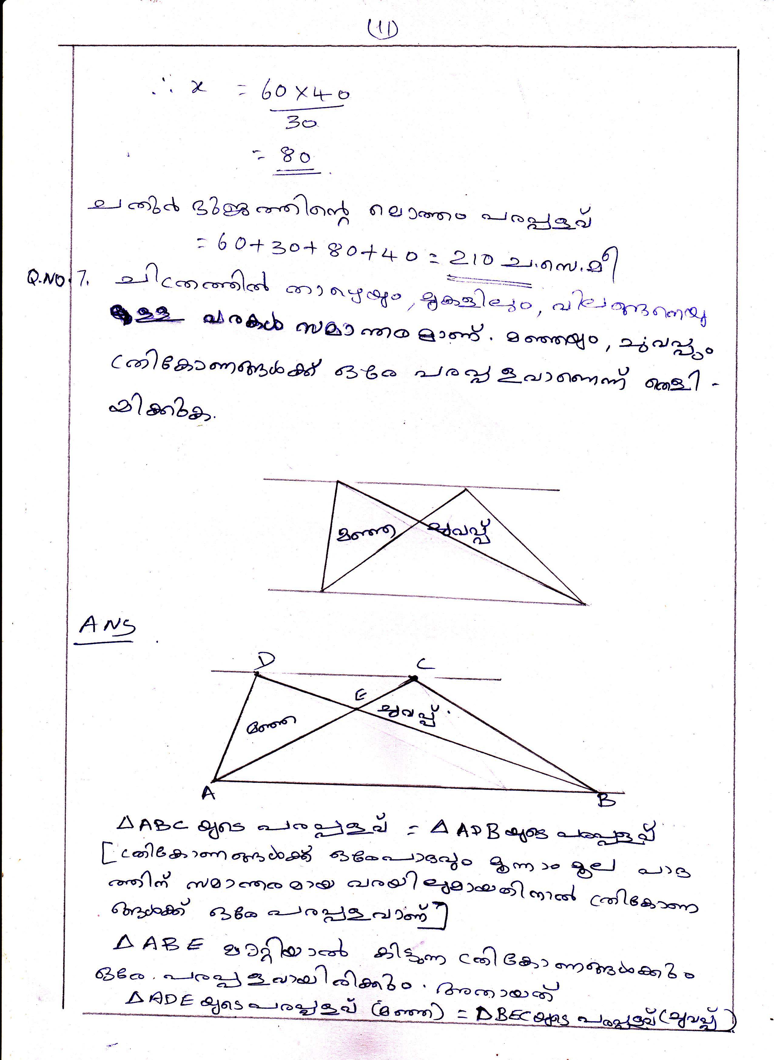 Triangle Division Problems of Area Chapter Class IX Mathematics 11