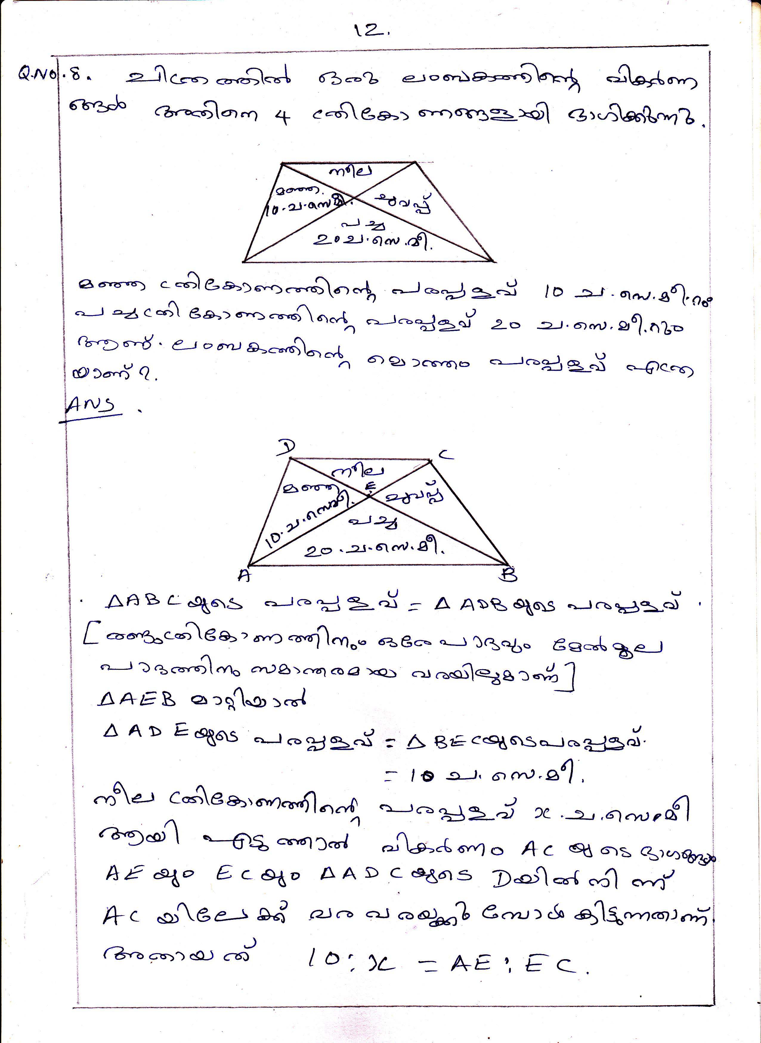 Triangle Division Problems of Area Chapter Class IX Mathematics 12