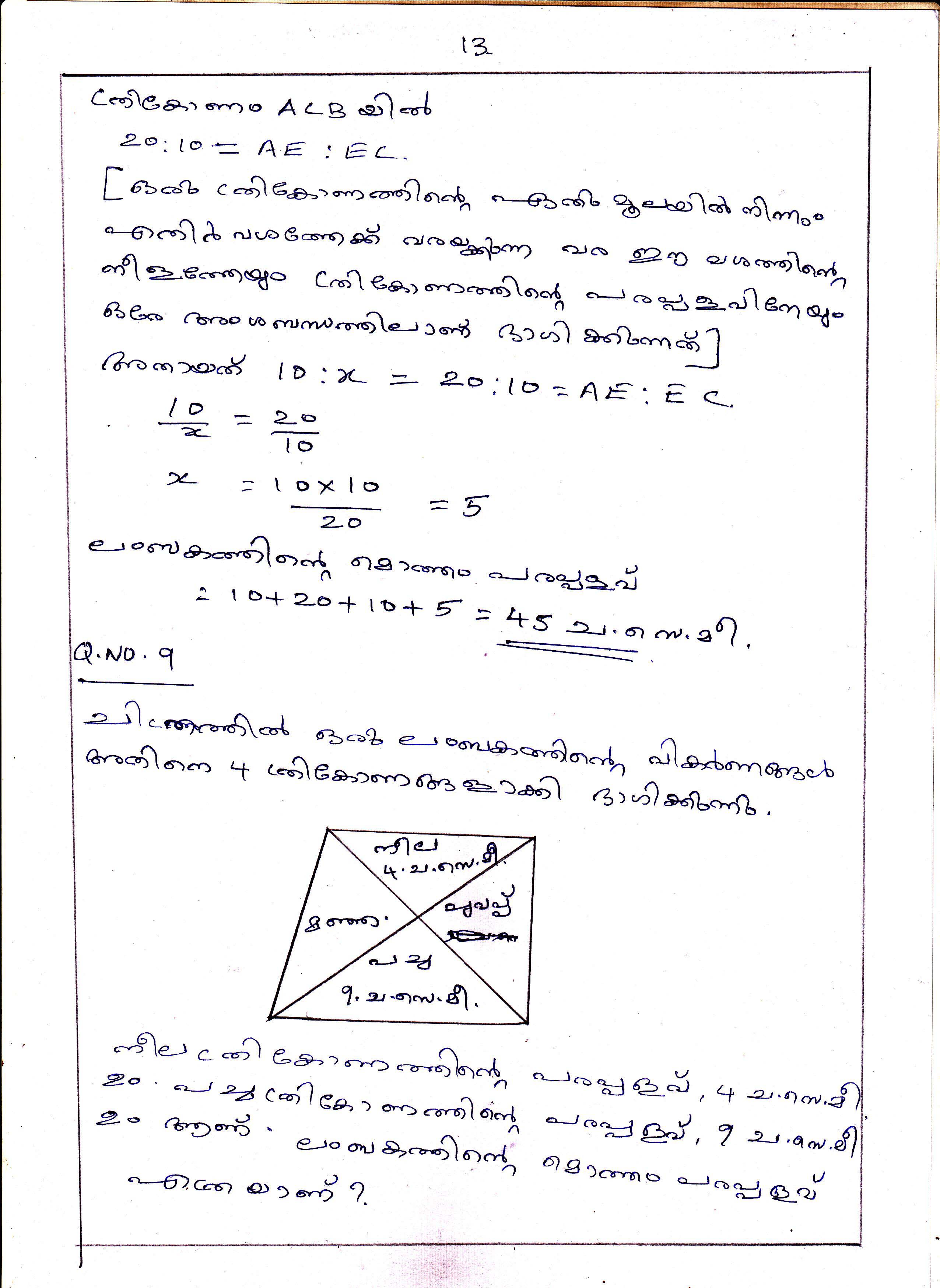 Triangle Division Problems of Area Chapter Class IX Mathematics 13