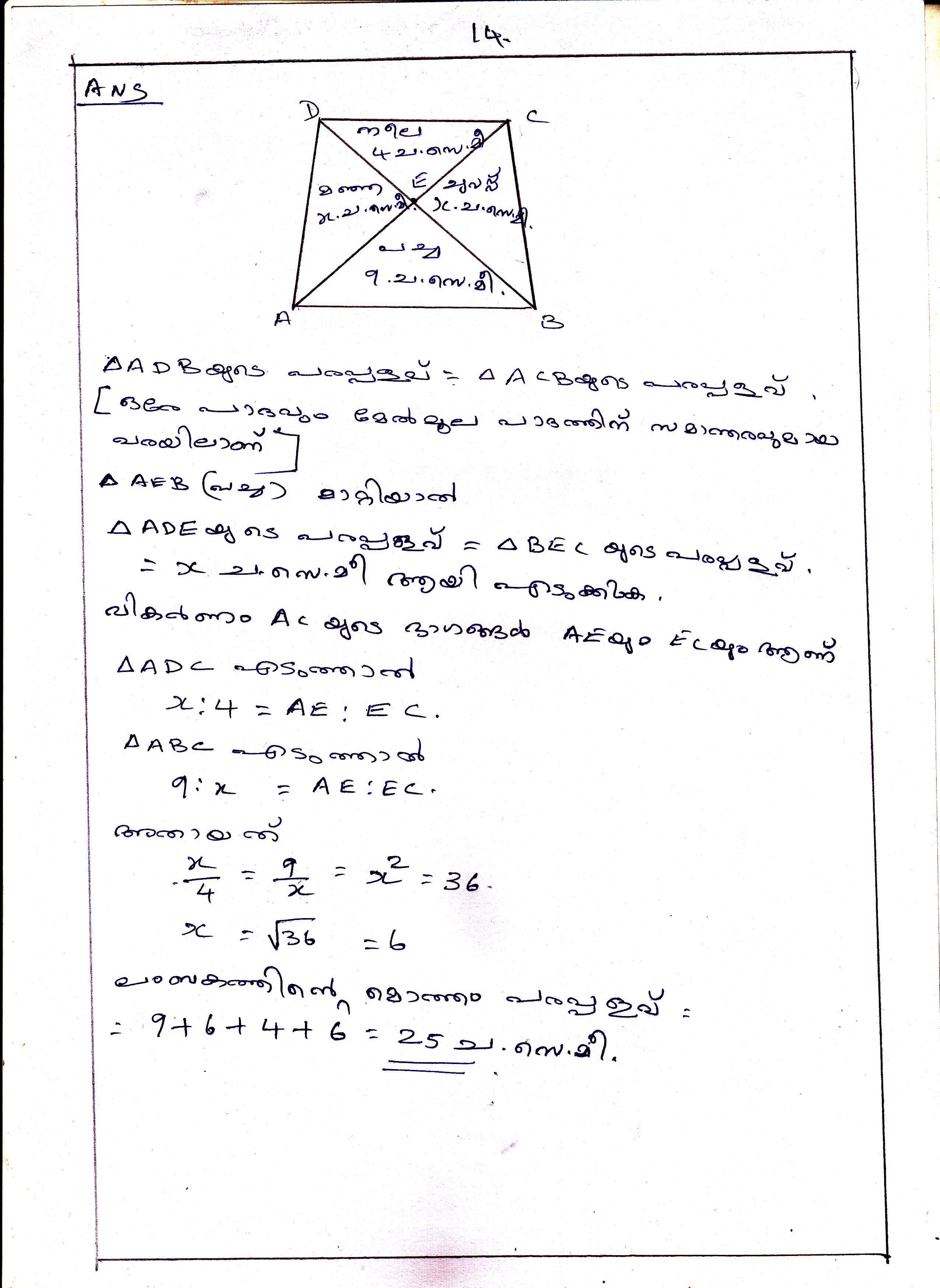 Triangle Division Problems of Area Chapter Class IX Mathematics 14