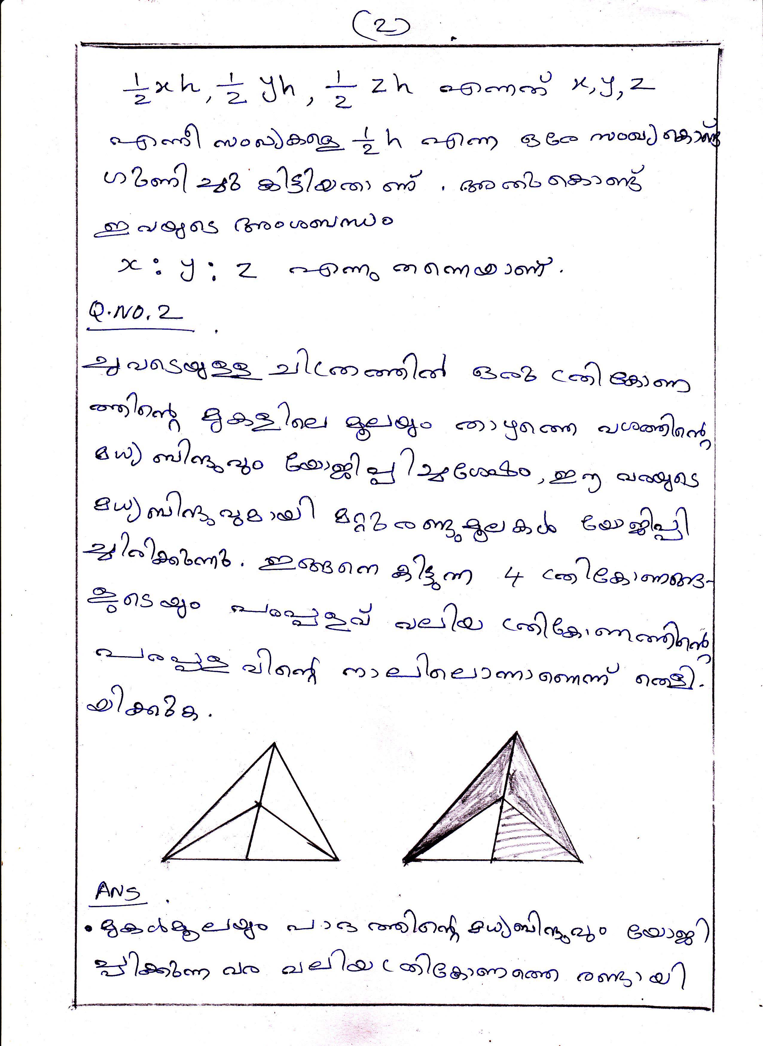 Triangle Division Problems of Area Chapter Class IX Mathematics 2