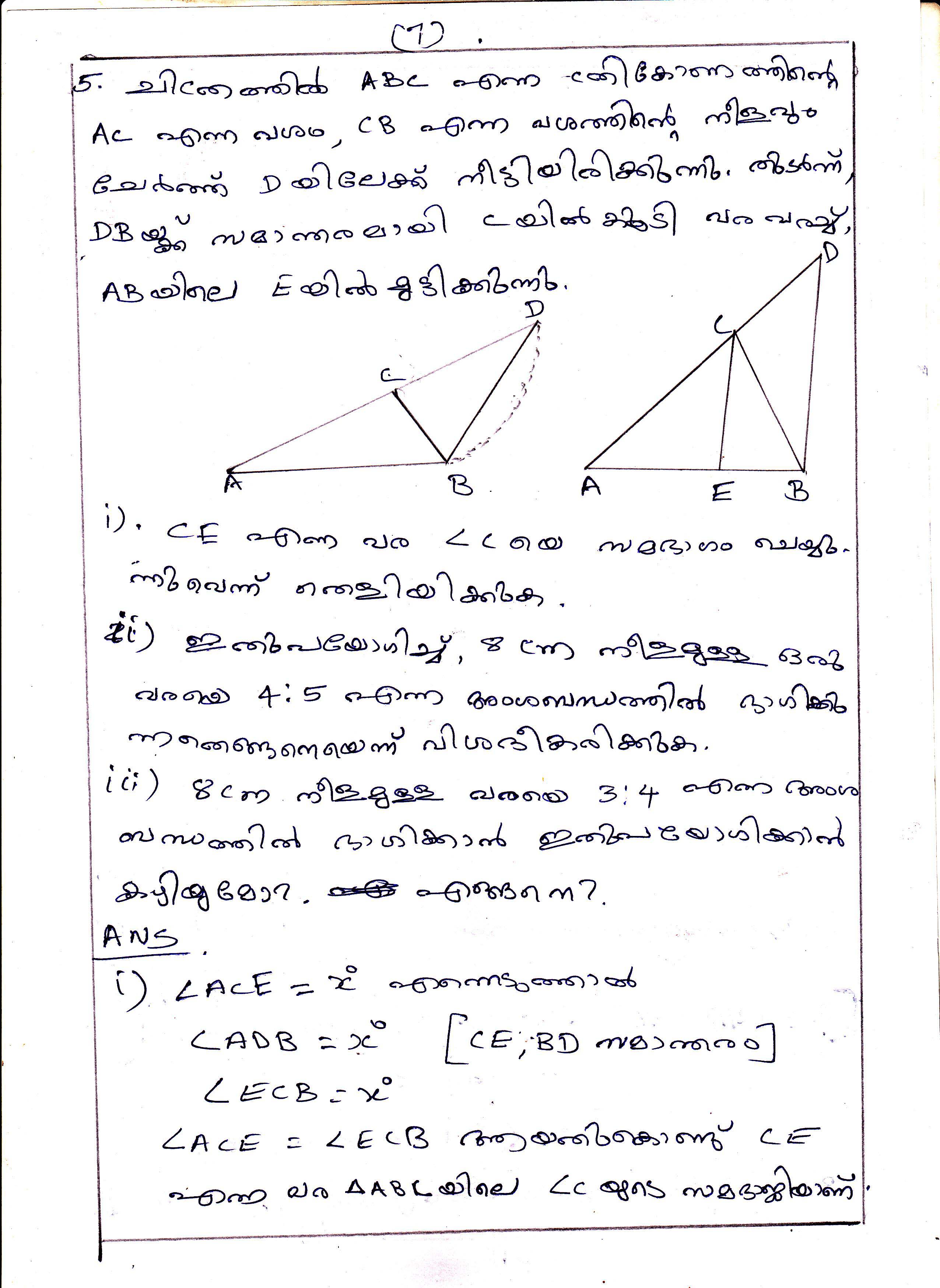 Triangle Division Problems of Area Chapter Class IX Mathematics 7