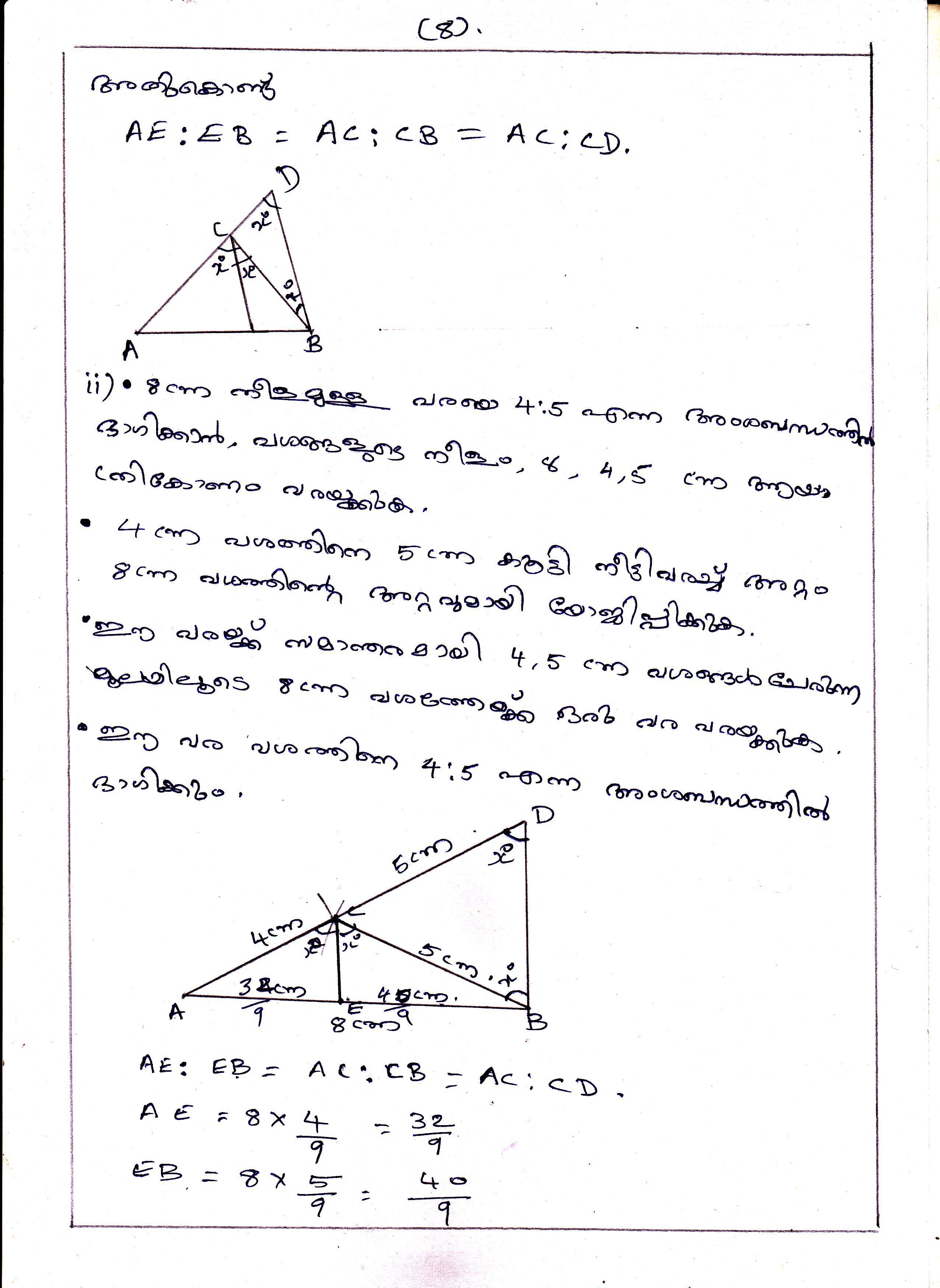 Triangle Division Problems of Area Chapter Class IX Mathematics 8