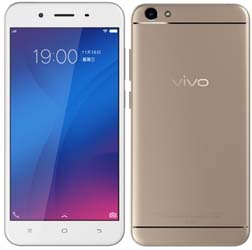 Vivo Mobile Phone Y66