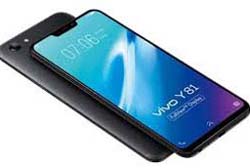 VIVO Mobile Phone Y81