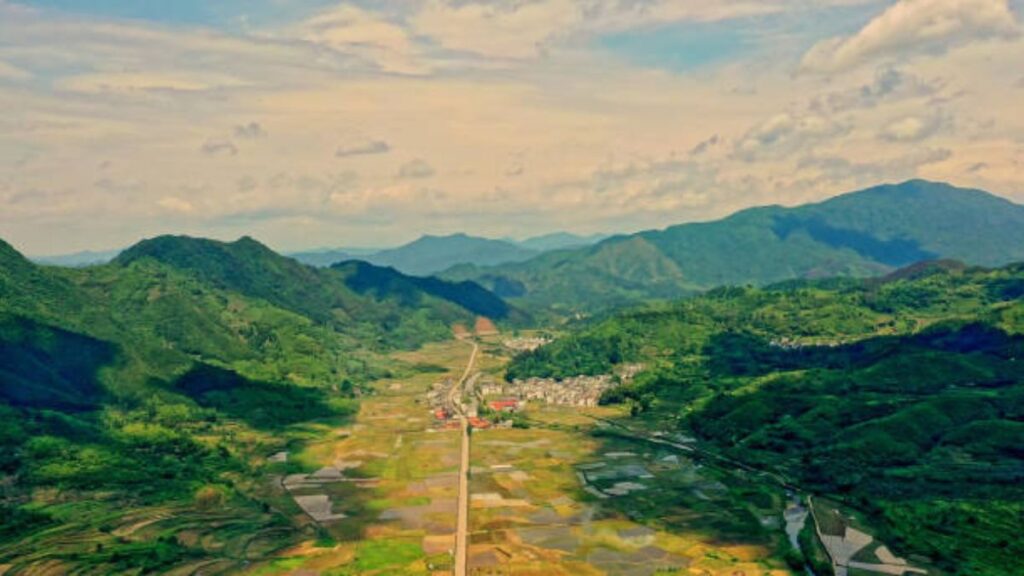 tonghou