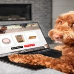 Exploring Wooflix: A Deep Dive into Canine-Centric Entertainment