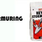 Stormuring: The Next Evolution of Digital Innovation and Creative Technology