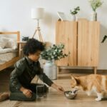 How to Choose a Pet That Truly Teaches Children Responsibility