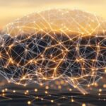 The Evolution of HHKTHK: A Journey Through Time