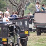 Why Tubeseferi Should Be Your Next Travel Destination