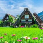 Exploring Haskawana: A Hidden Gem in the World of Nature