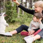 Why KoalasPlayground is the Perfect Spot for Your Next Family Outing