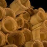 Cream Paper vs White Paper: Which One Should You Choose for Your Next Project?