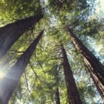 Understanding Overtes: The Hidden Factors of Everyday Life